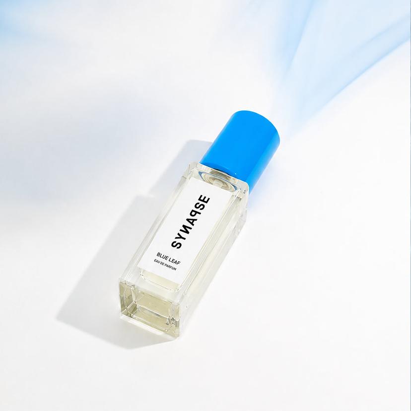 SYNAPSE - BLUE LEAF Travel | Veralab